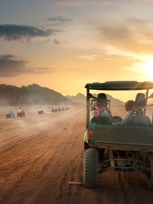 desert-in-egypt-2025-03-06-04-26-31-utc